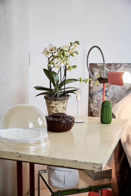 Freres_Boxy_5821©-Laetizia-Bazzoni