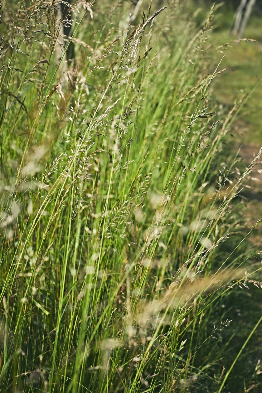 Lena_9700©Laetizia Bazzoni